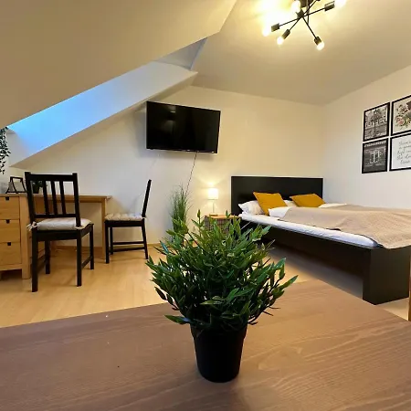 Gemuetliche, Charmante Ferienwohnung Naehe Zentrum Plauen Buitenkant foto