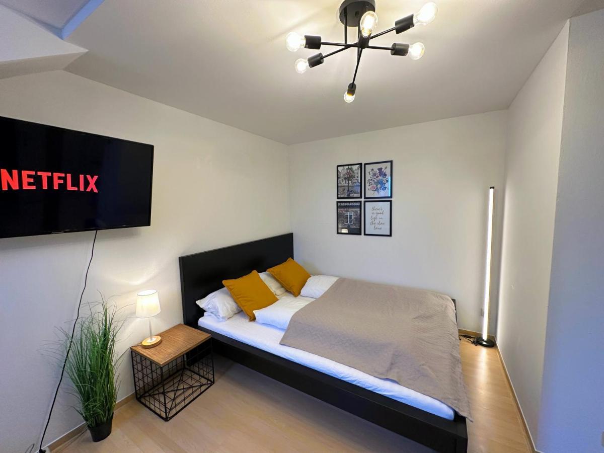 Gemuetliche, Charmante Naehe Zentrum Apartment Plauen